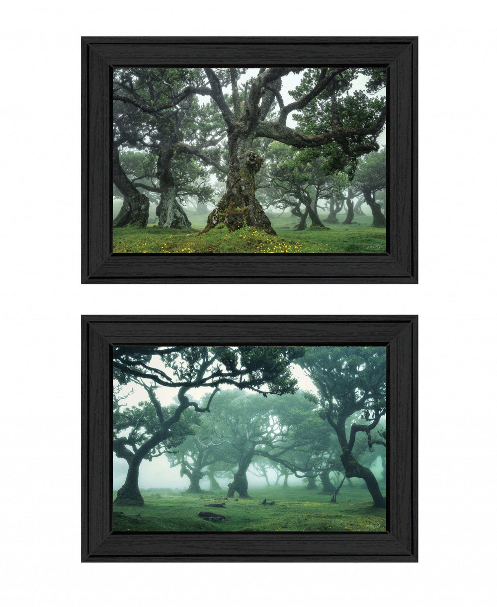 Set Of Two Enchanted Forest 2 Black Framed Print Wall Art - Homeroots - Flyclothing LLC
