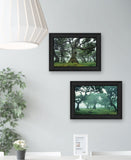 Set Of Two Enchanted Forest 2 Black Framed Print Wall Art - Homeroots