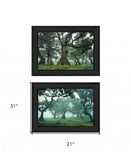 Set Of Two Enchanted Forest 2 Black Framed Print Wall Art - Homeroots - Flyclothing LLC