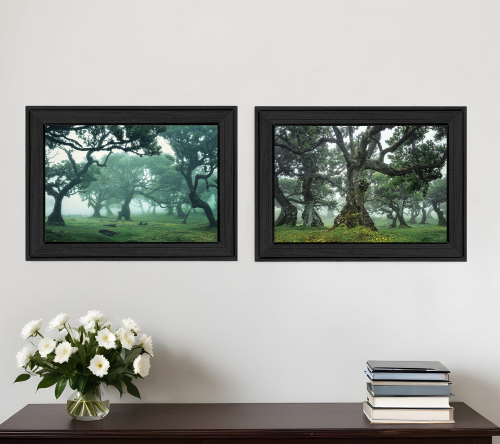 Set Of Two Enchanted Forest 2 Black Framed Print Wall Art - Homeroots