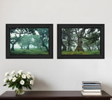 Set Of Two Enchanted Forest 2 Black Framed Print Wall Art - Homeroots