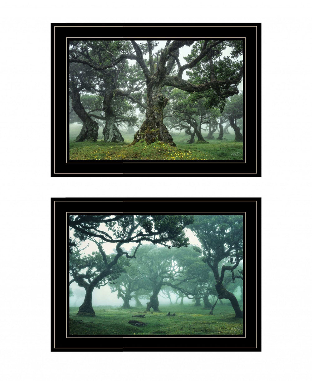 Set Of Two Enchanted Forest 3 Black Framed Print Wall Art - Homeroots - Flyclothing LLC