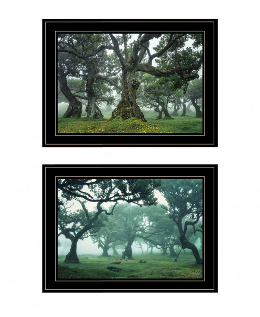 Set Of Two Enchanted Forest 3 Black Framed Print Wall Art - Homeroots - Flyclothing LLC