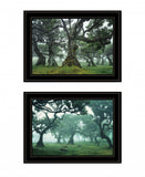 Set Of Two Enchanted Forest 3 Black Framed Print Wall Art - Homeroots
