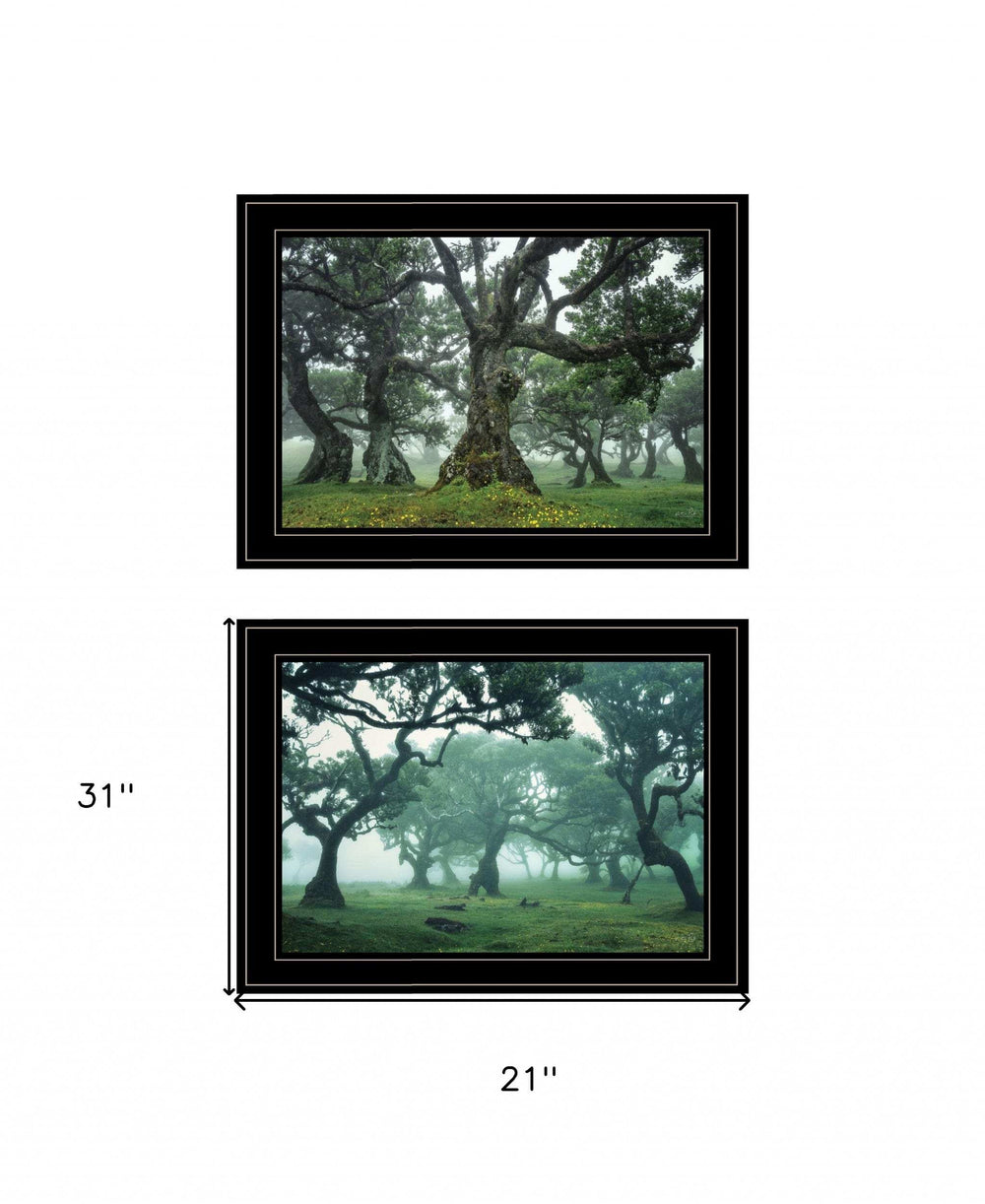 Set Of Two Enchanted Forest 3 Black Framed Print Wall Art - Homeroots - Flyclothing LLC
