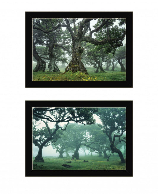 Set Of Two Enchanted Forest 4 Black Framed Print Wall Art - Homeroots - Flyclothing LLC