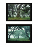 Set Of Two Enchanted Forest 4 Black Framed Print Wall Art - Homeroots