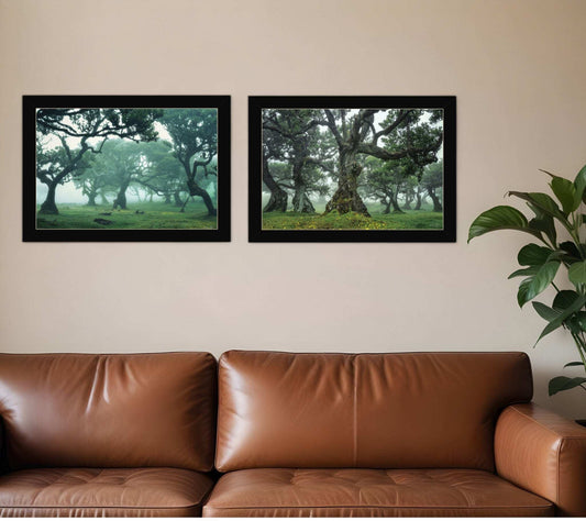 Set Of Two Enchanted Forest 4 Black Framed Print Wall Art - Homeroots - Flyclothing LLC