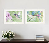 Set Of Two Humming Bird 1 and 2 White Framed Print Wall Art - Homeroots