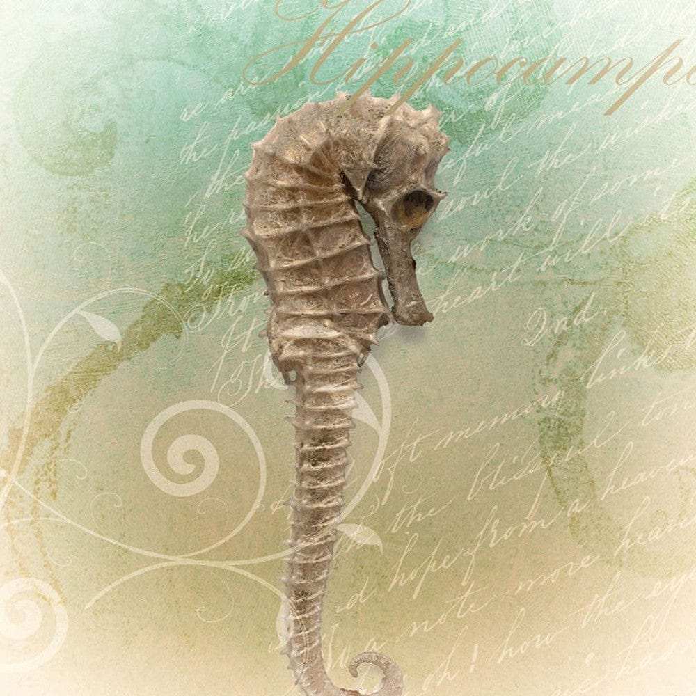 Set Of Two The Sea III and Sea IV 1 Black Framed Print Wall Art - Homeroots - Flyclothing LLC