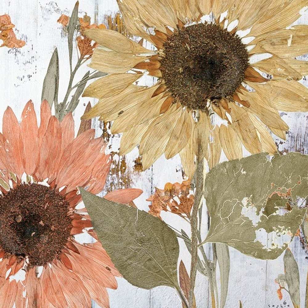 Set Of Two Earth to Petals 2 White Framed Print Wall Art - Homeroots - Flyclothing LLC