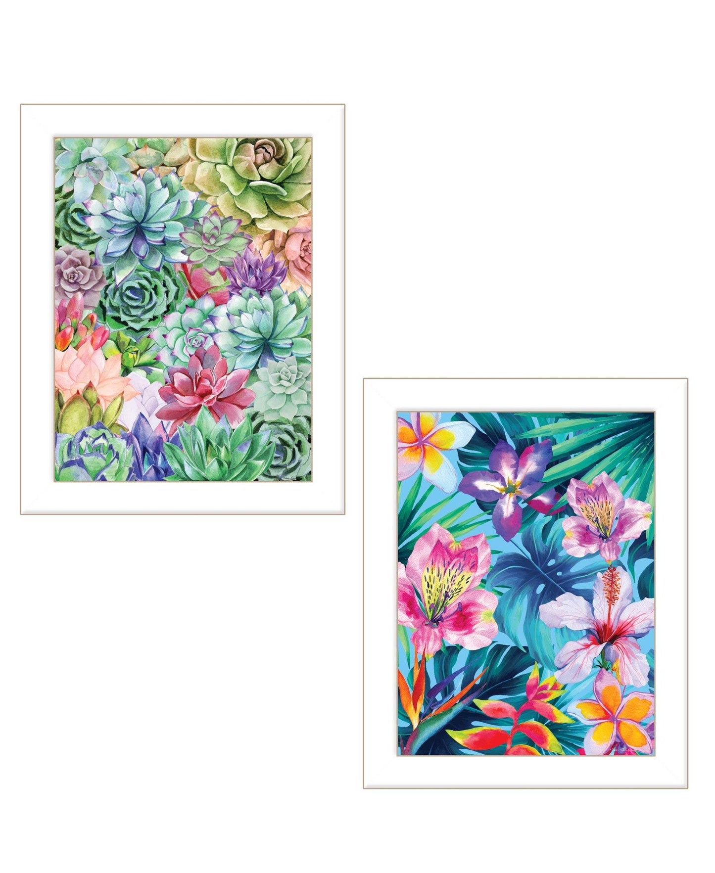 Set Of Two Succulents Paradise and Tropical Flowers White Framed Print Wall Art - Homeroots - Flyclothing LLC