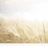 Fields of Gold 1 White Framed Print Wall Art - Homeroots - Flyclothing LLC