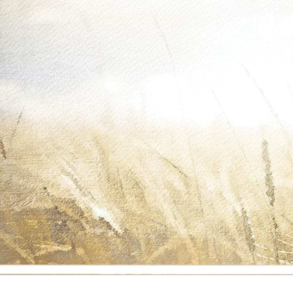 Fields of Gold 1 White Framed Print Wall Art - Homeroots - Flyclothing LLC