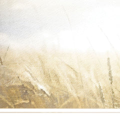 Fields of Gold 1 White Framed Print Wall Art - Homeroots