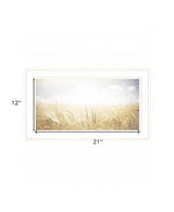 Fields of Gold 1 White Framed Print Wall Art - Homeroots - Flyclothing LLC