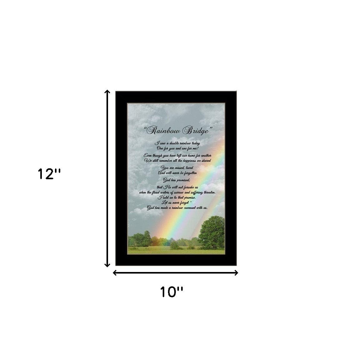 Rainbow Bridge Black Framed Print Wall Art - Homeroots