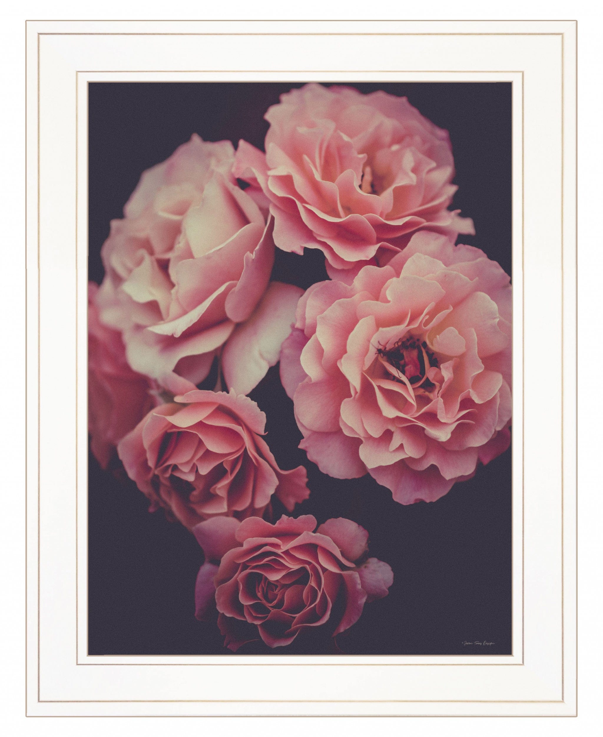 Dreamy Rose 1 White Framed Print Wall Art - Homeroots