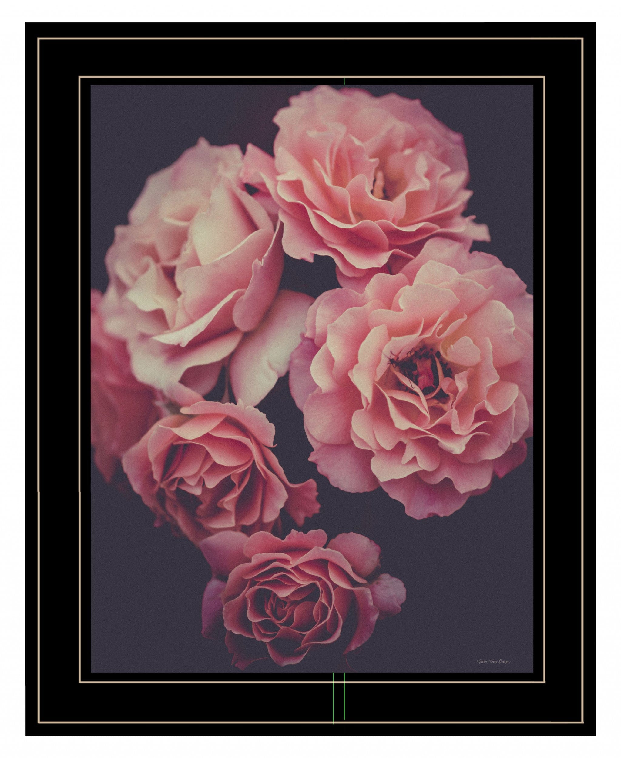 Dreamy Rose 2 Black Framed Print Wall Art - Homeroots