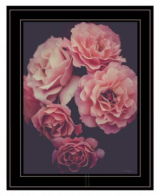 Dreamy Rose 2 Black Framed Print Wall Art - Homeroots