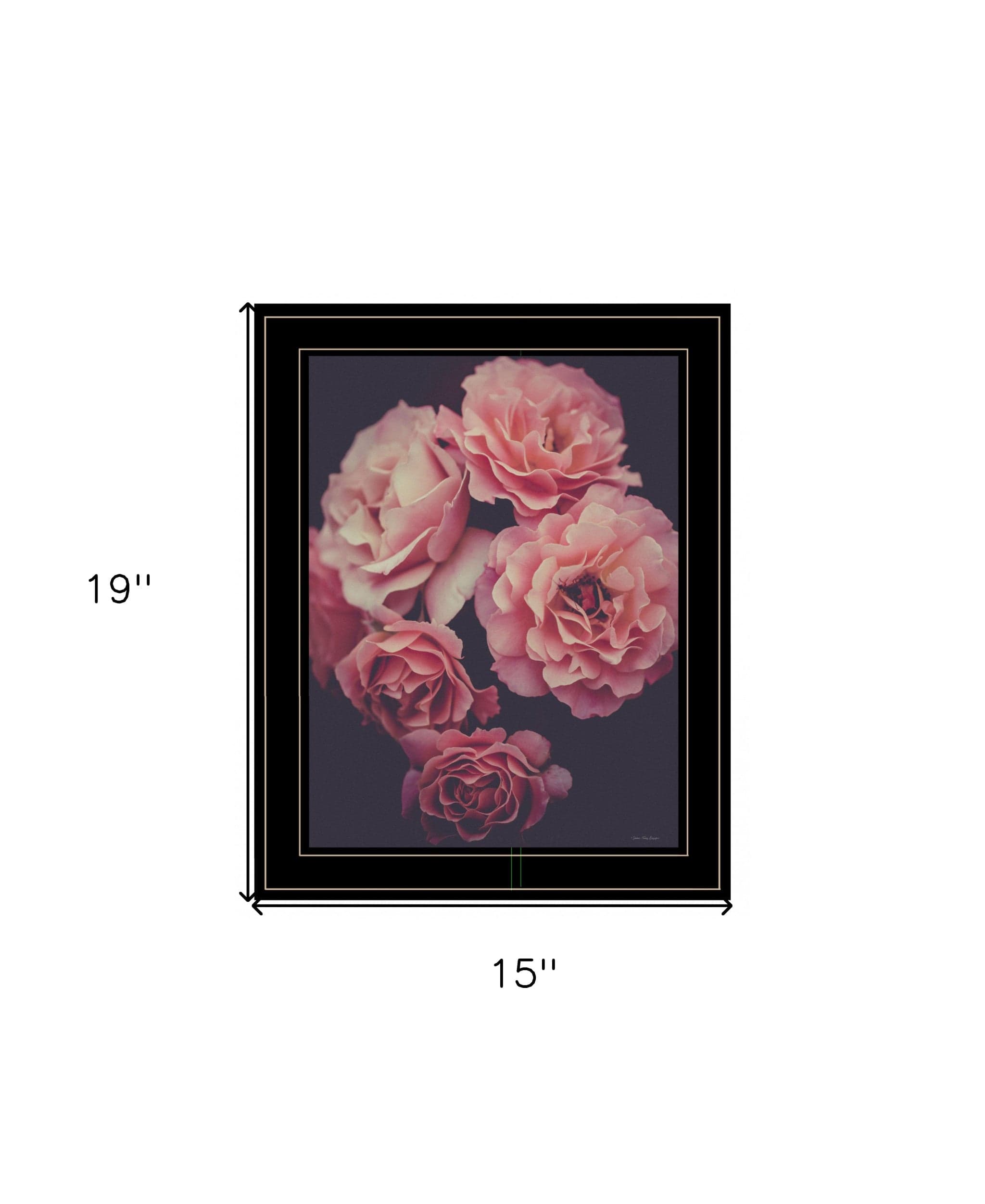 Dreamy Rose 2 Black Framed Print Wall Art - Homeroots
