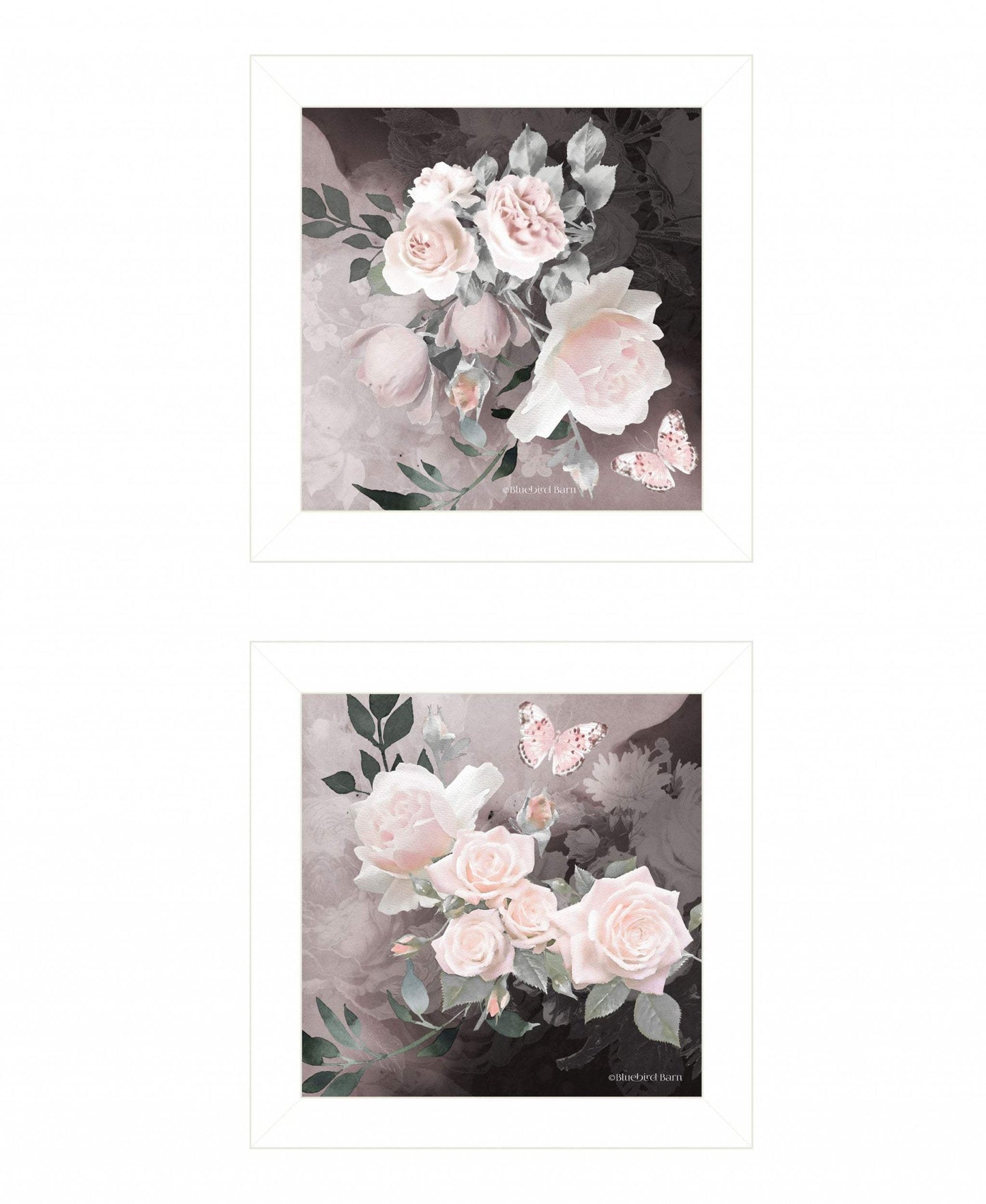 Set Of Two Noir Roses 5 White Framed Print Wall Art - Homeroots - Flyclothing LLC