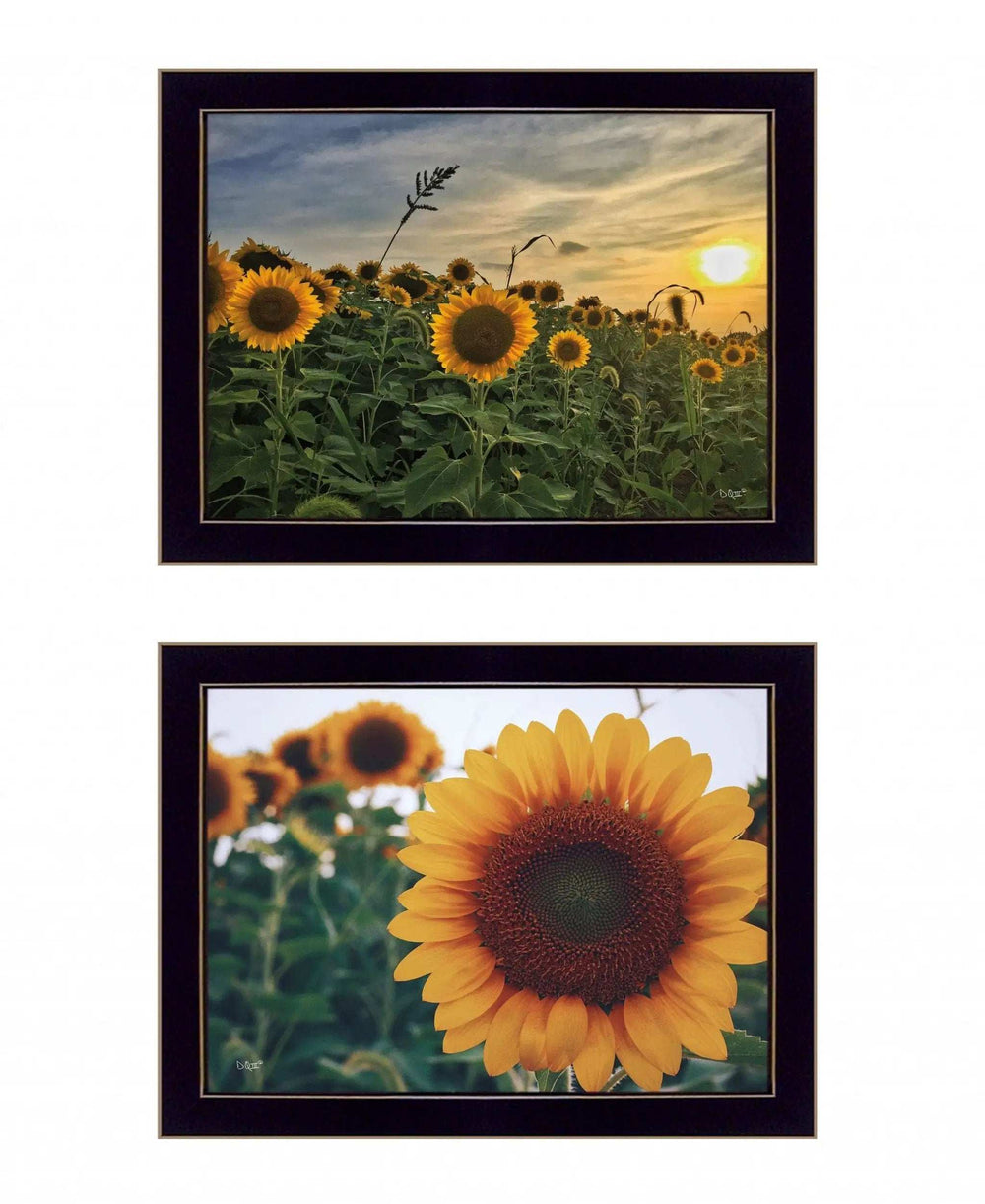 Set Of Two Midwest Living 4 Black Framed Print Wall Art - Homeroots - Flyclothing LLC