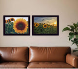 Set Of Two Midwest Living 4 Black Framed Print Wall Art - Homeroots - Flyclothing LLC
