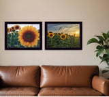 Set Of Two Midwest Living 4 Black Framed Print Wall Art - Homeroots