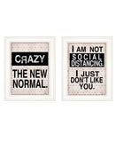 Set Of Two The New Normal White Framed Print Wall Art - Homeroots