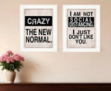 Set Of Two The New Normal White Framed Print Wall Art - Homeroots