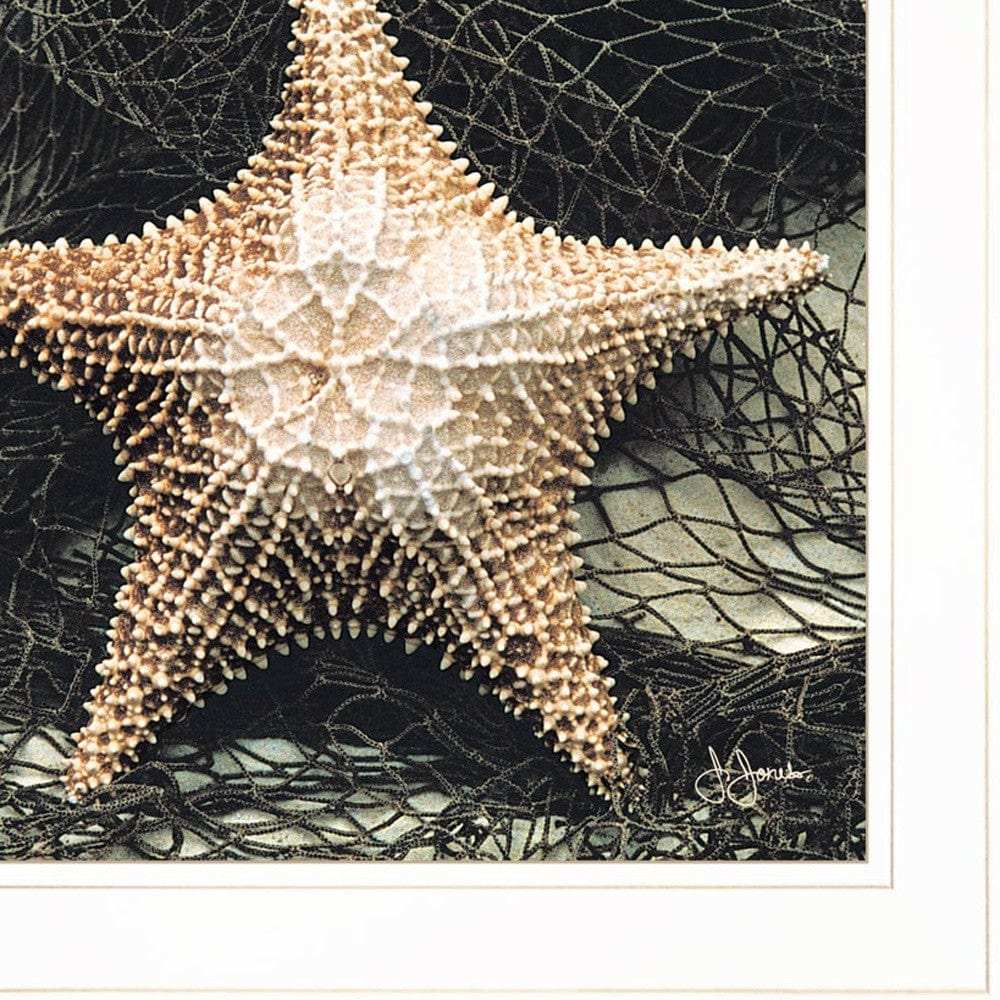 Set Of Two Ocean Net White Framed Print Wall Art - Homeroots - Flyclothing LLC