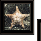 Set Of Two Ocean Net 2 Black Framed Print Wall Art - Homeroots