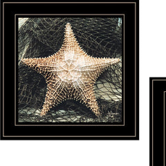 Set Of Two Ocean Net 2 Black Framed Print Wall Art - Homeroots