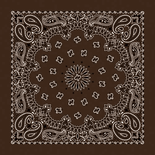 Rockmount Ranch Ware Paisley Western Cotton Bandana in Brown - Rockmount Clothing - Flyclothing LLC