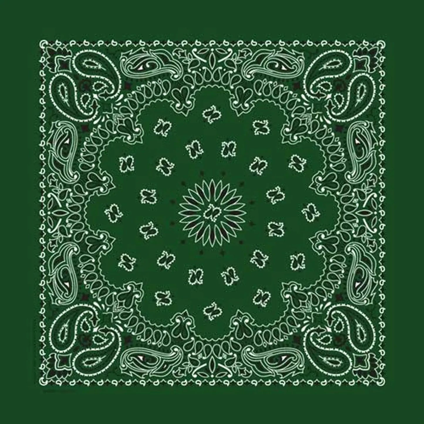 Rockmount Ranch Ware Paisley Western Cotton Bandana in Green - Rockmount Clothing - Flyclothing LLC