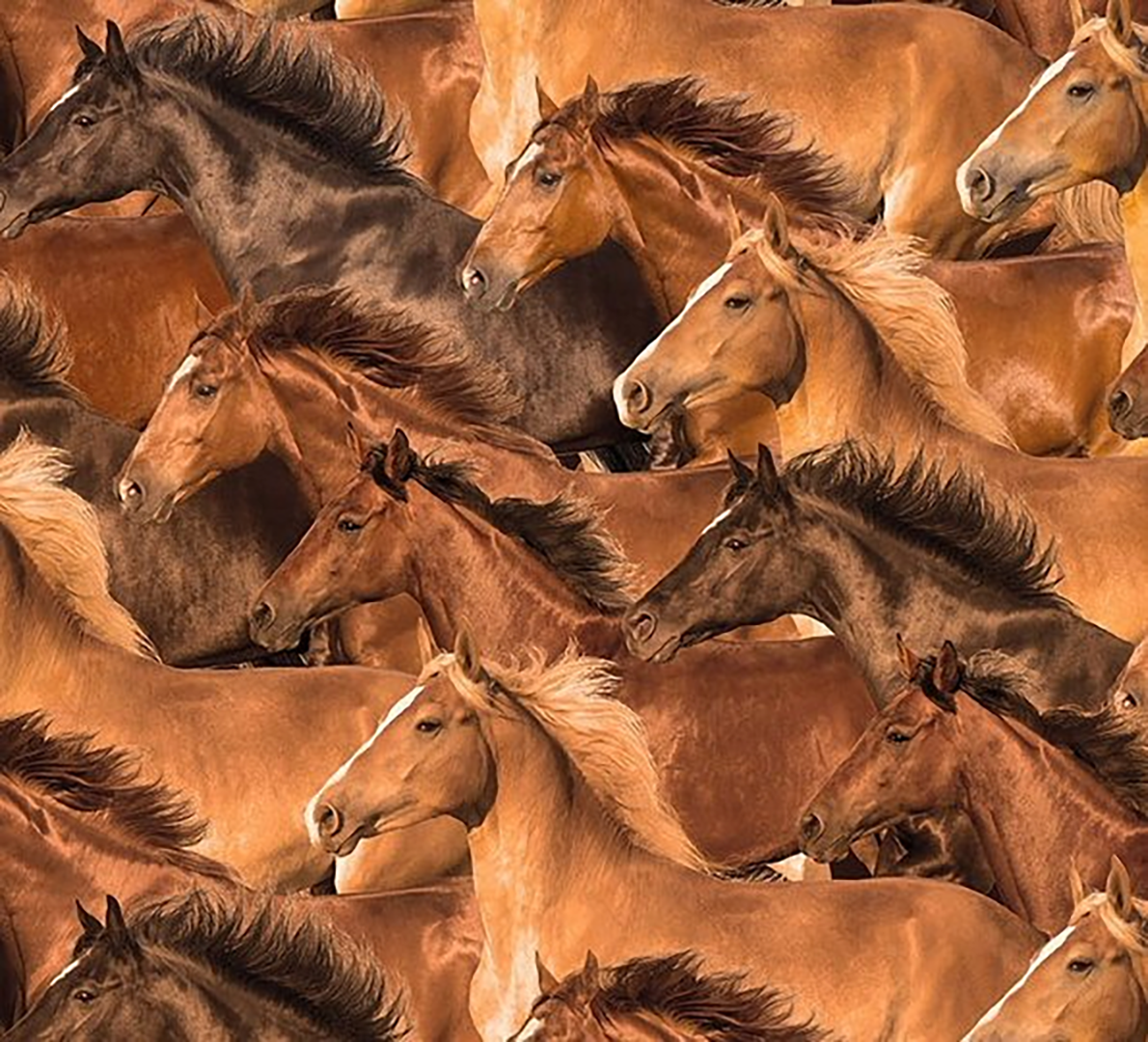 Rockmount Ranch Wear Horse Herd Western Cotton Bandana in Brown - Rockmount Clothing - Flyclothing LLC