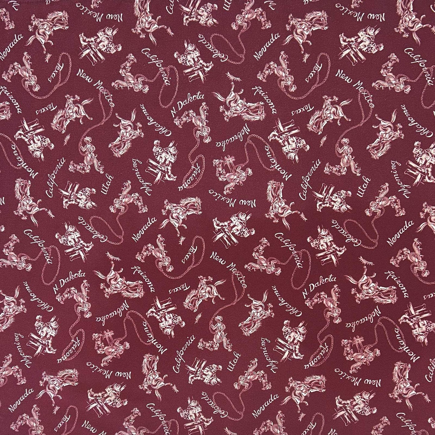 Western Cowboys & States Red Bandana - Rockmount Ranch Wear - Flyclothing LLC