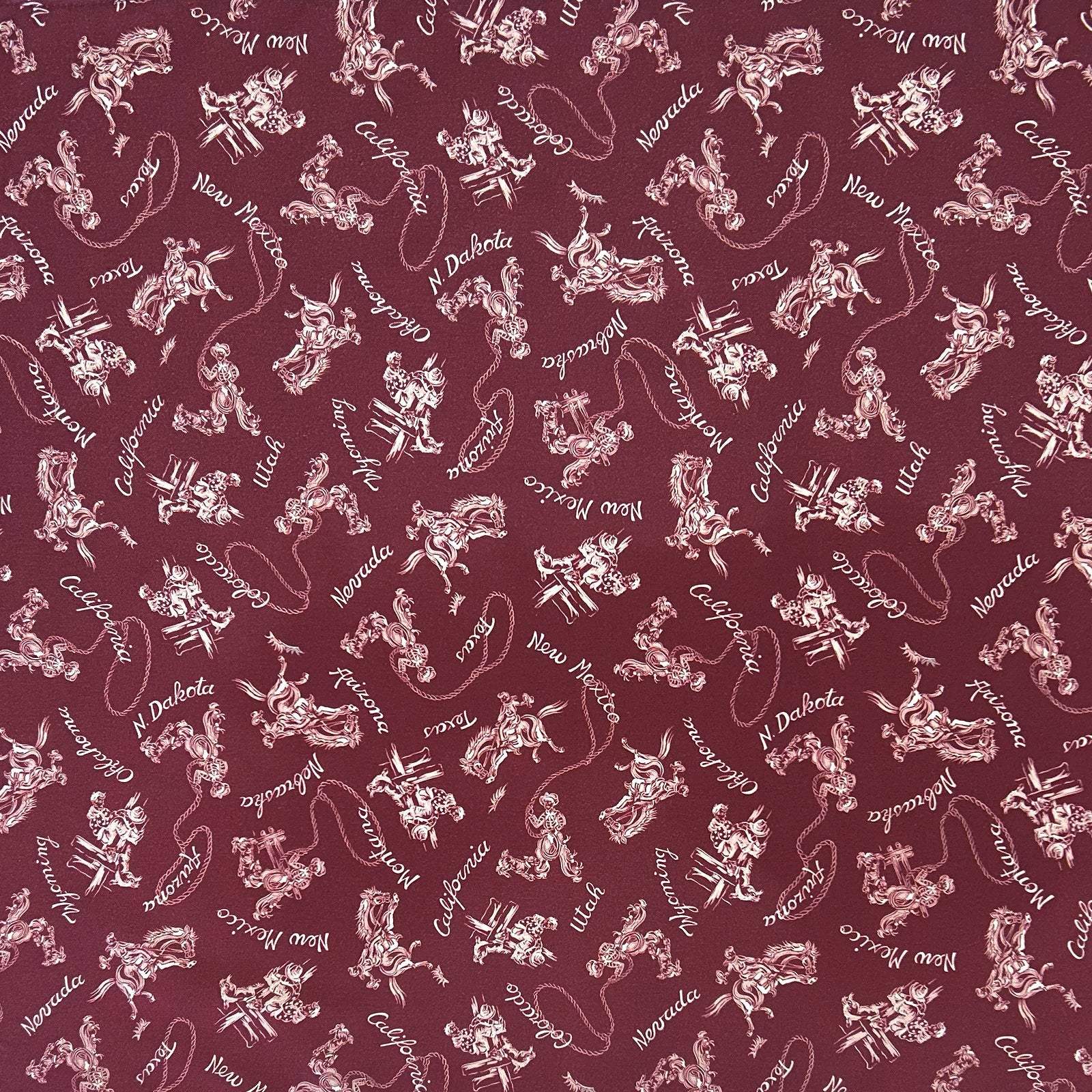 Western Cowboys & States Red Bandana - Rockmount Ranch Wear - Flyclothing LLC