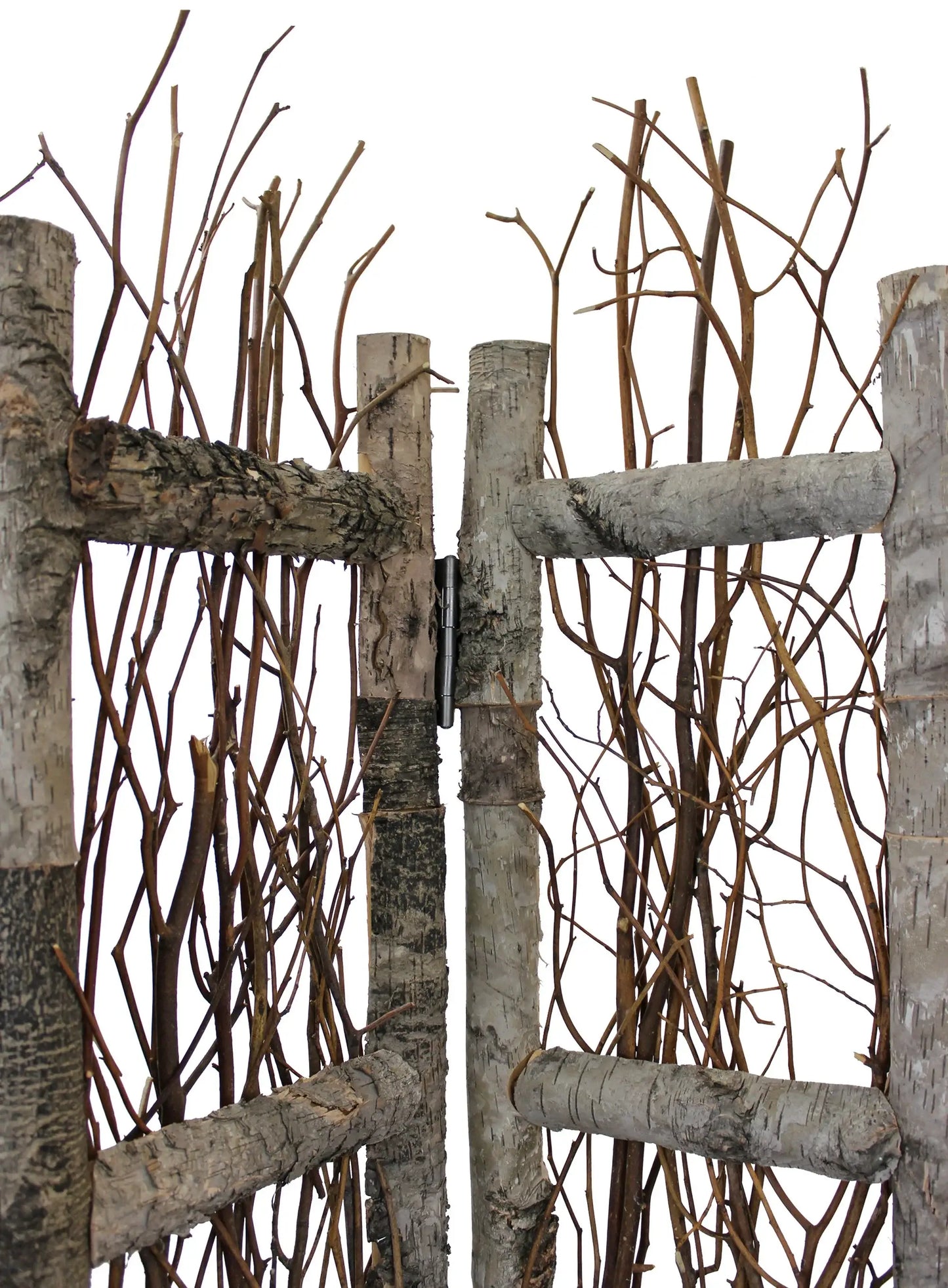 Earthy Birch and Twig Four Panel Room Divider Screen - Homeroots - Flyclothing LLC