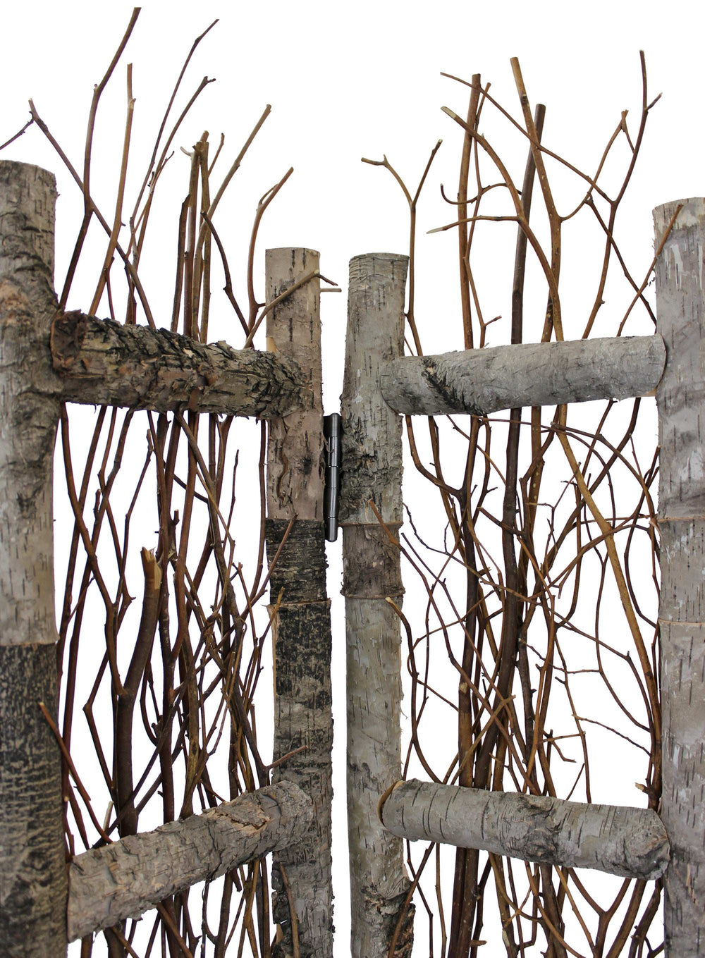 Earthy Birch and Twig Four Panel Room Divider Screen - Homeroots - Flyclothing LLC