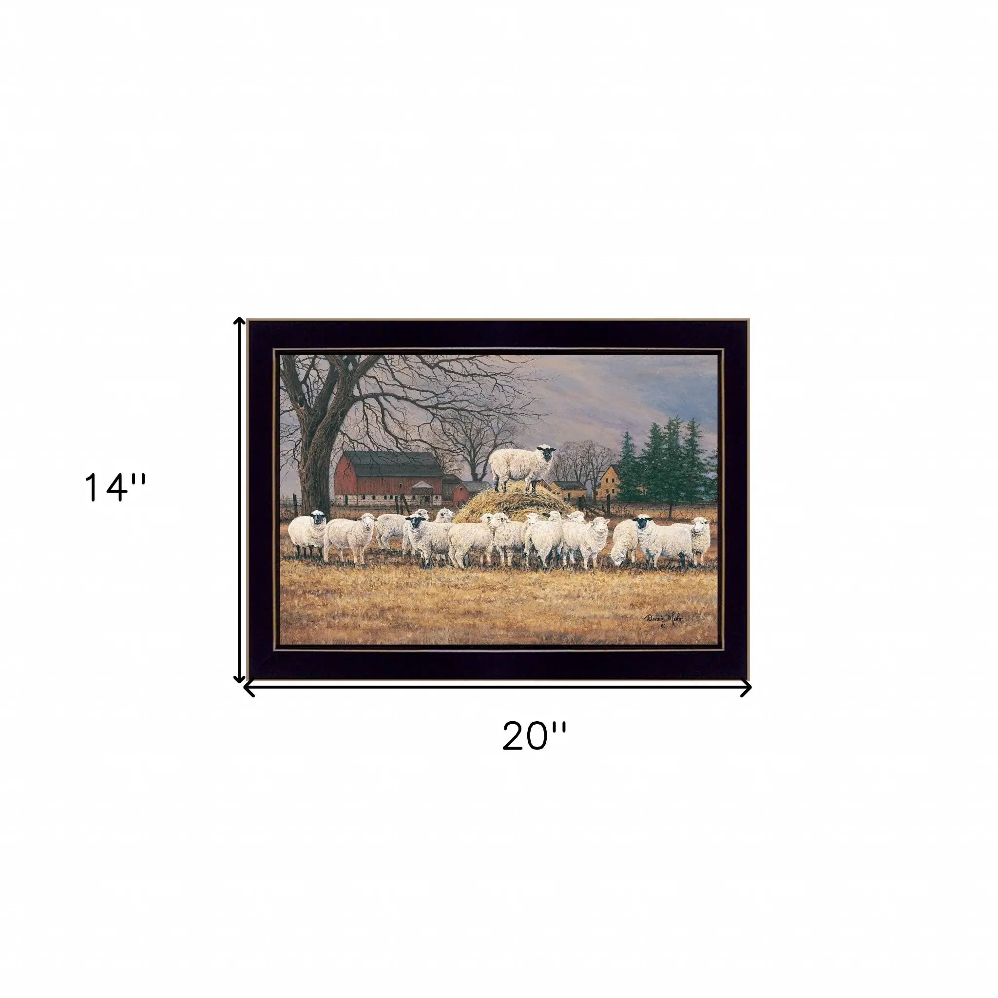 Wool Gathering 1 Black Framed Print Wall Art - Homeroots - Flyclothing LLC
