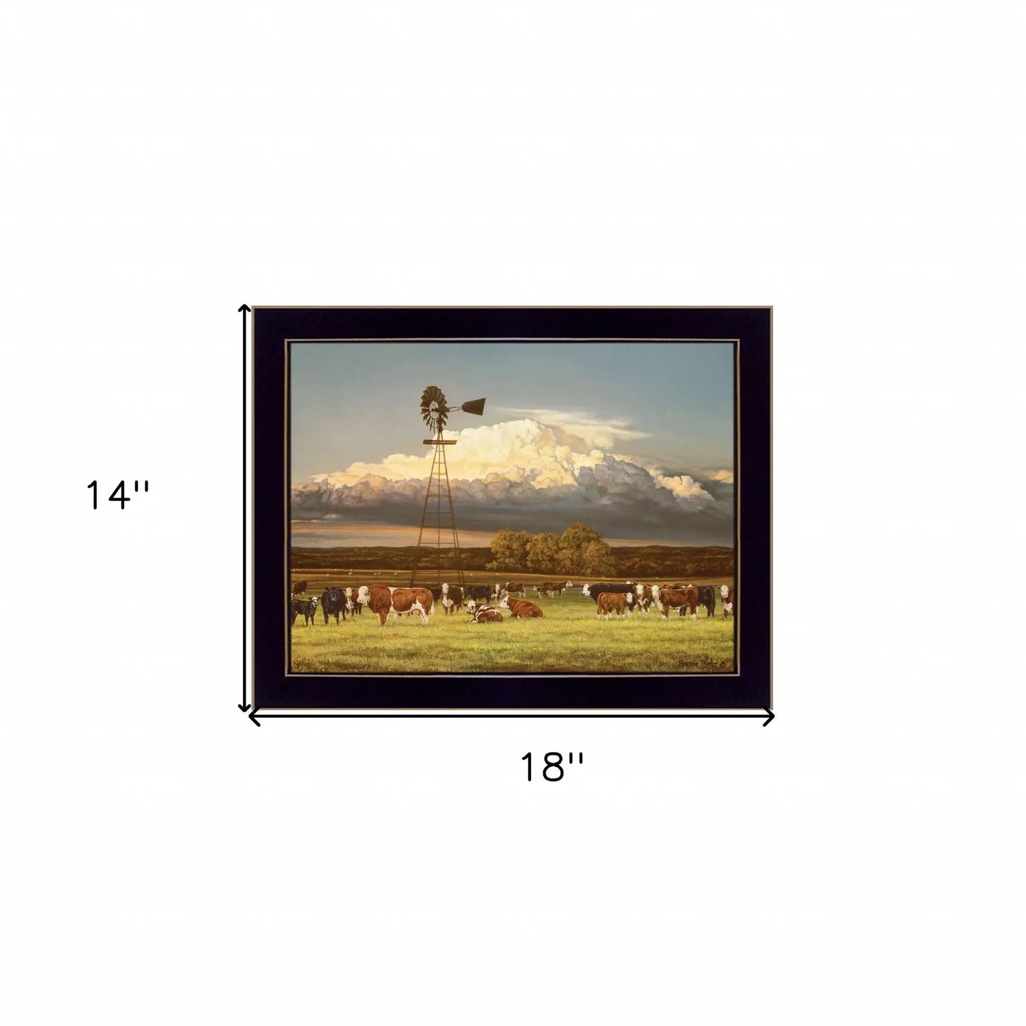 Summer Pastures Black Framed Print Wall Art - Homeroots - Flyclothing LLC