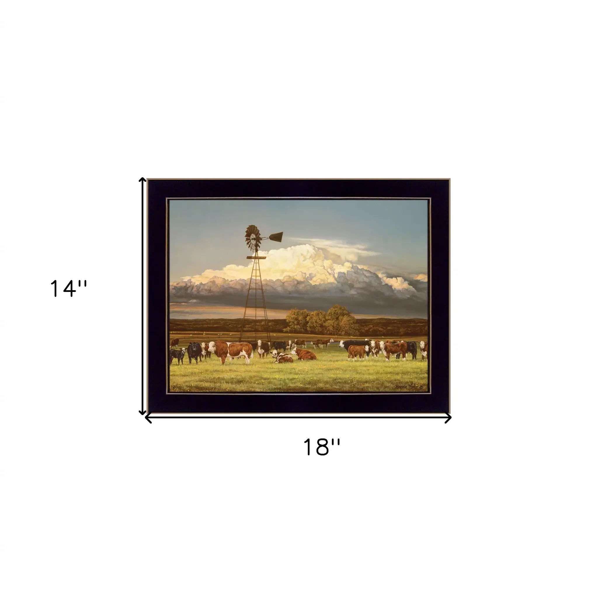 Summer Pastures Black Framed Print Wall Art - Homeroots - Flyclothing LLC