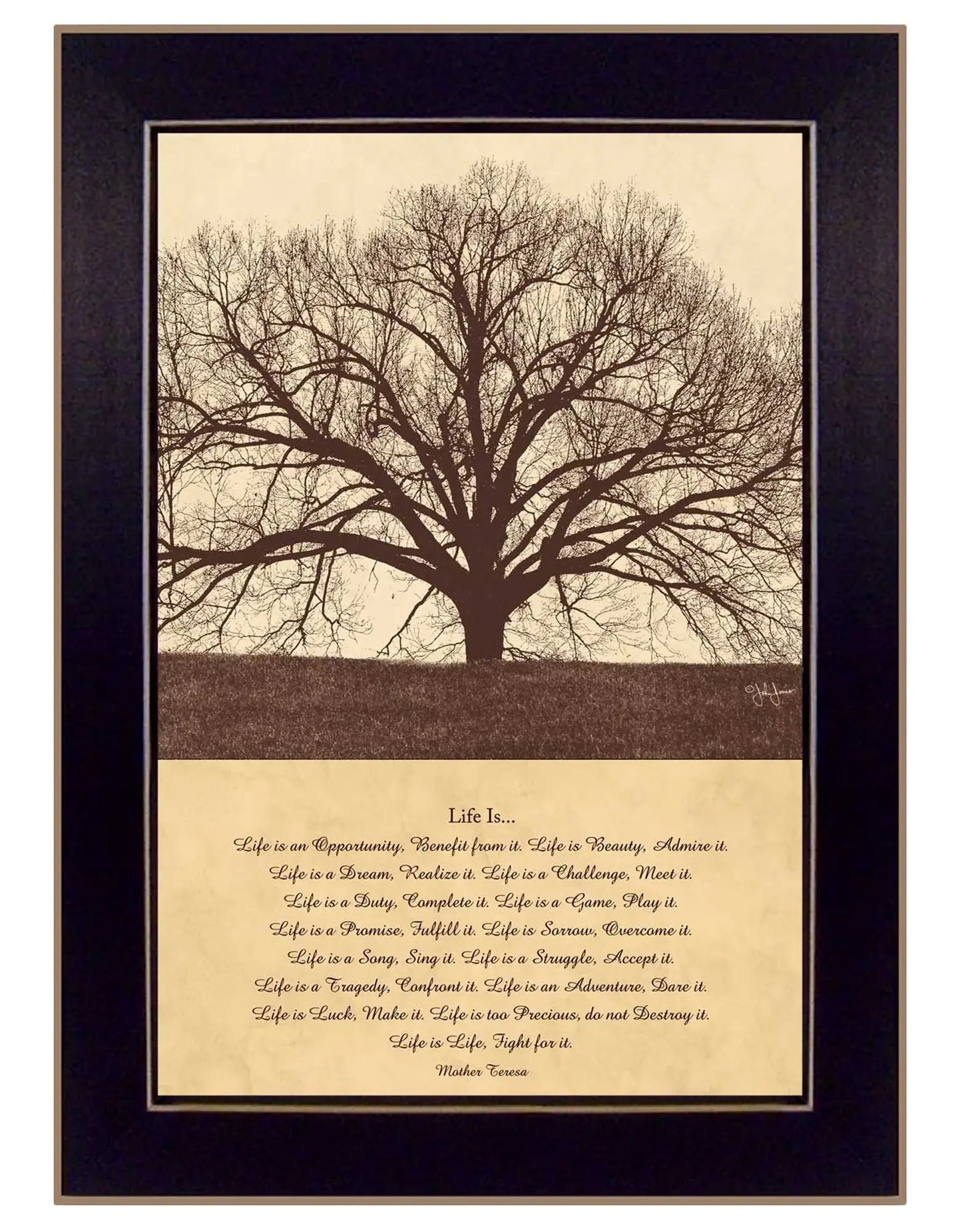Life Is 1 Black Framed Print Wall Art - Homeroots - Flyclothing LLC