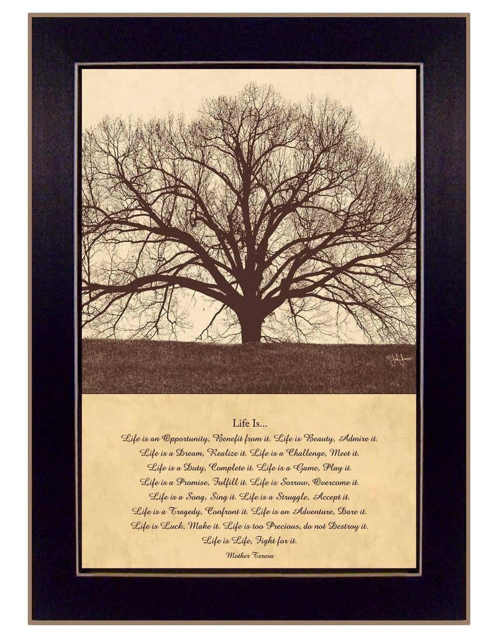 Life Is 1 Black Framed Print Wall Art - Homeroots - Flyclothing LLC