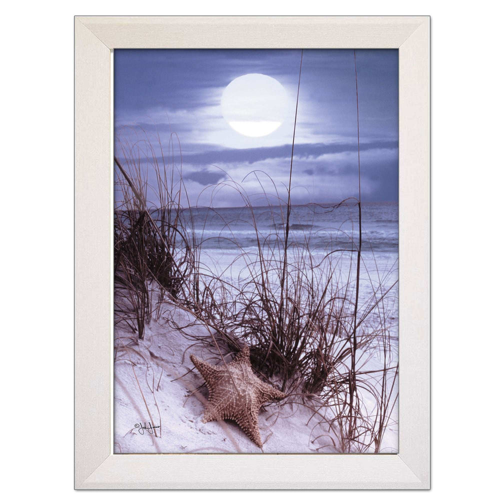 The Seashore White Framed Print Wall Art - Homeroots - Flyclothing LLC