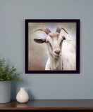 Up Close Goat Black Framed Print Wall Art