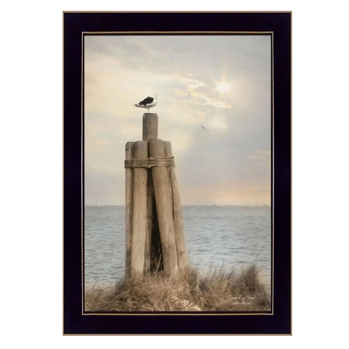 Birds Eye View 1 Black Framed Print Wall Art - Homeroots - Flyclothing LLC