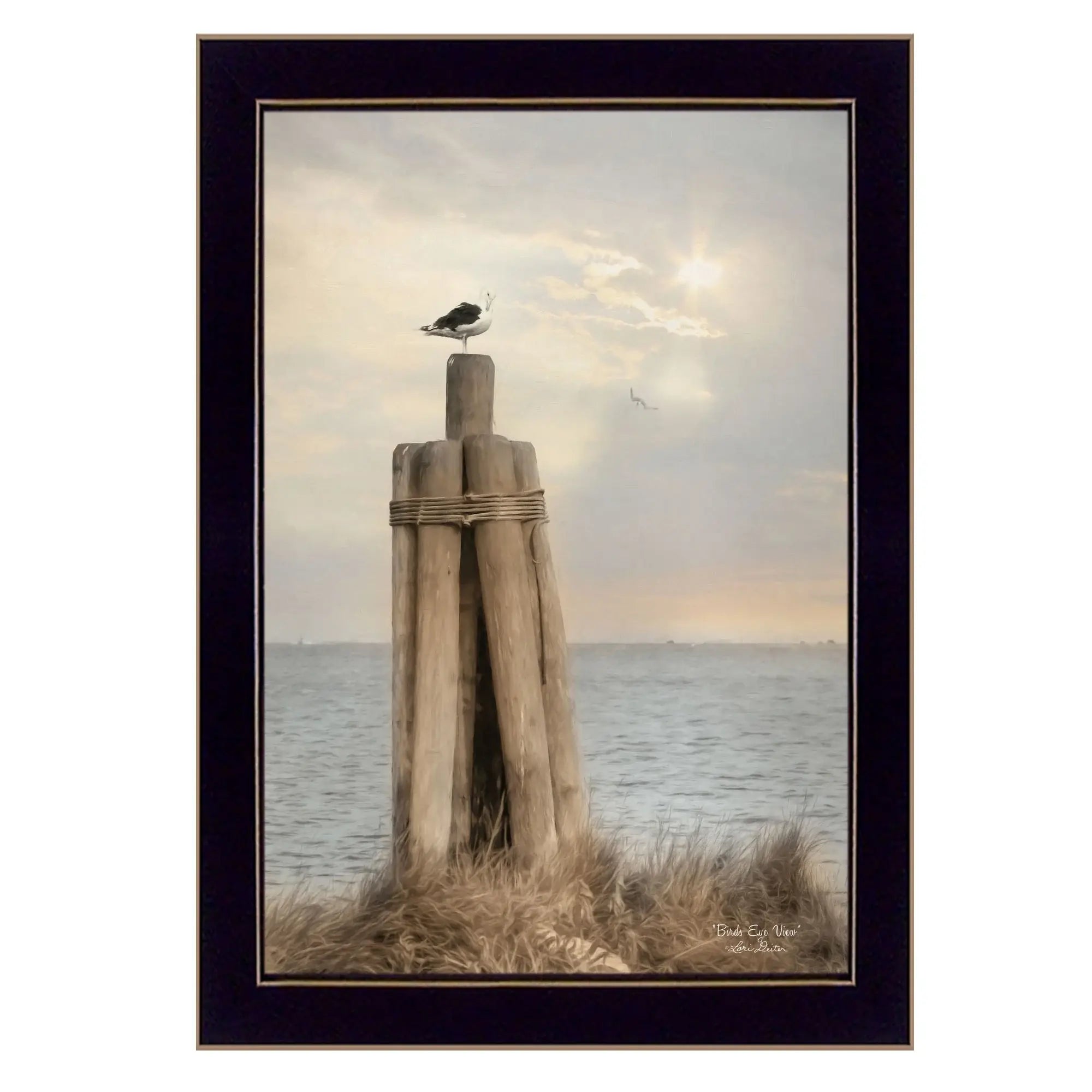 Birds Eye View 1 Black Framed Print Wall Art - Homeroots - Flyclothing LLC